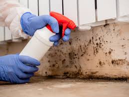 Best Industrial Mold Remediation  in Mono Vista, CA